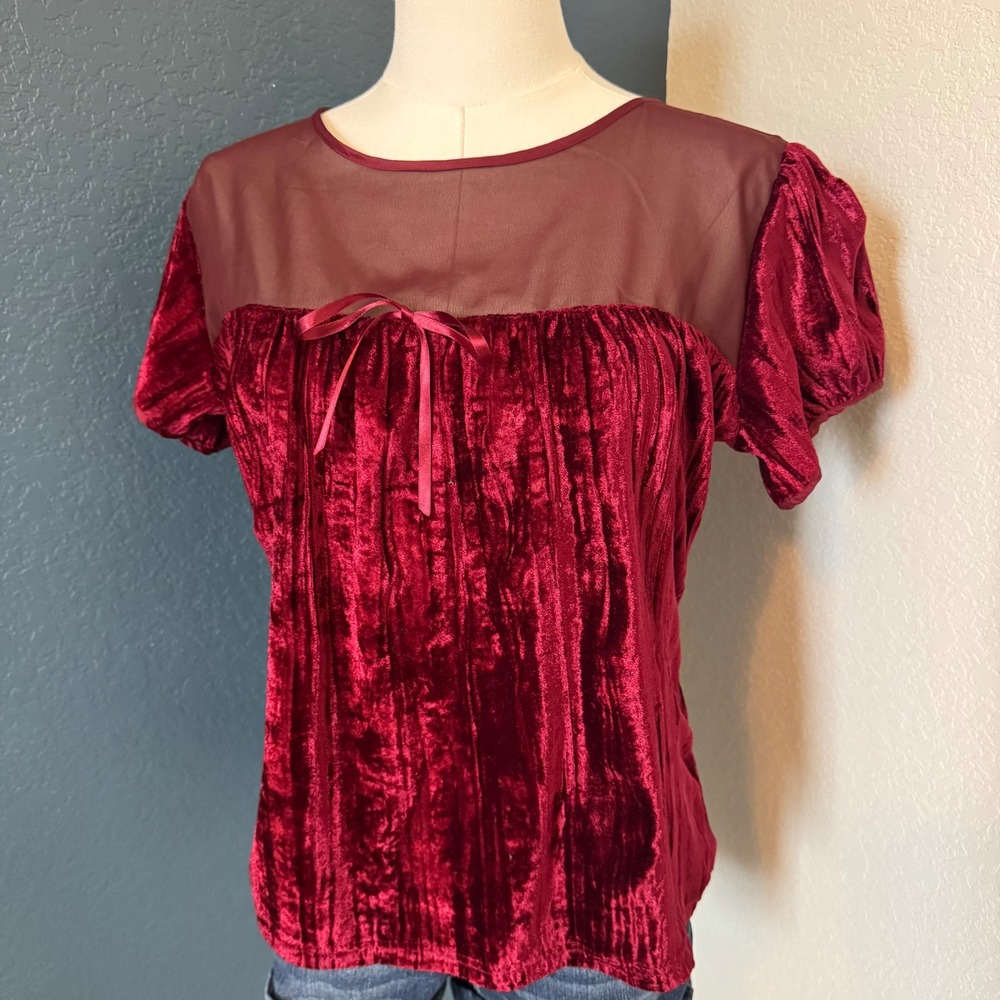 Coquette Whimsygoth Mesh Ivonne Velvet Blouse Medium Red